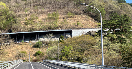 群馬県 吾妻峡橋 LED道路照明